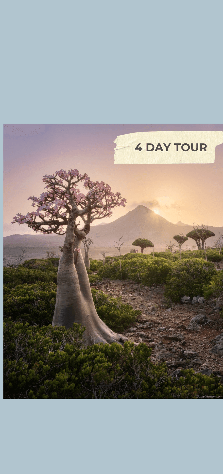 Socotra Discovery: the Best of Socotra's hidden gems