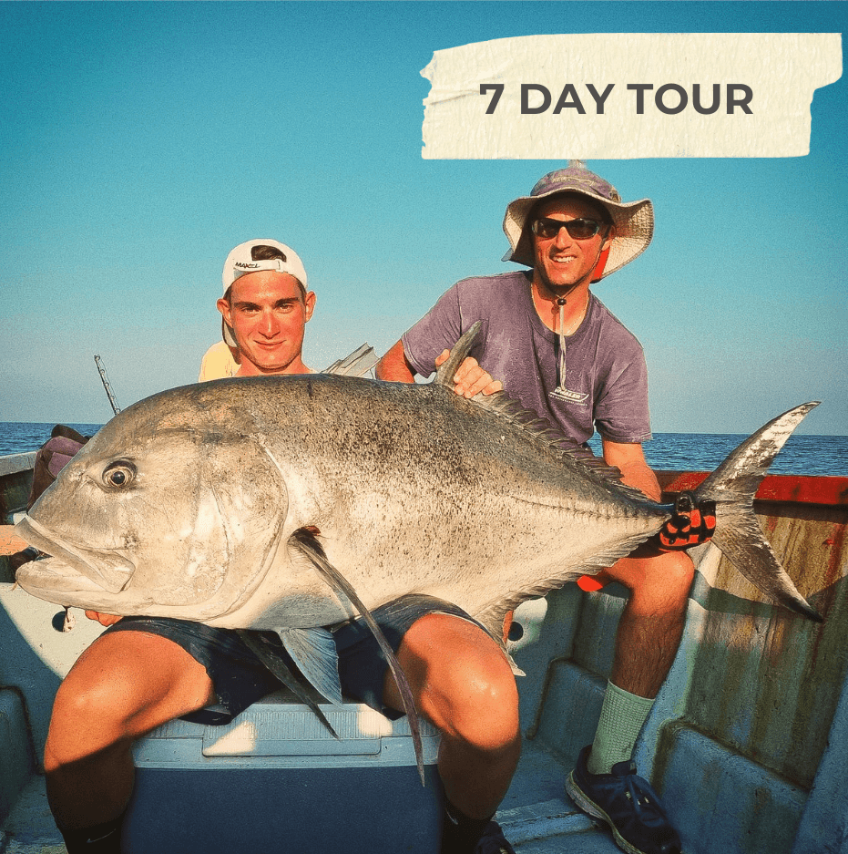 Wild Fishing in Socotra: An Unforgettable Tour in the islands pristine waters 